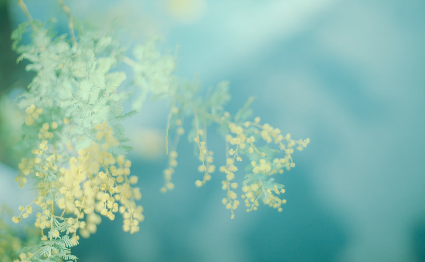 埼玉のおすすめフォトスポット｜まとめ