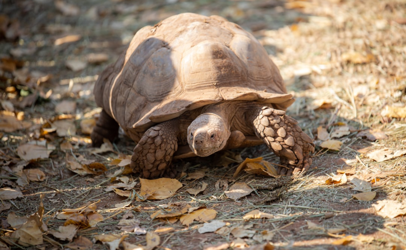 AI時代に必要な3種の状態