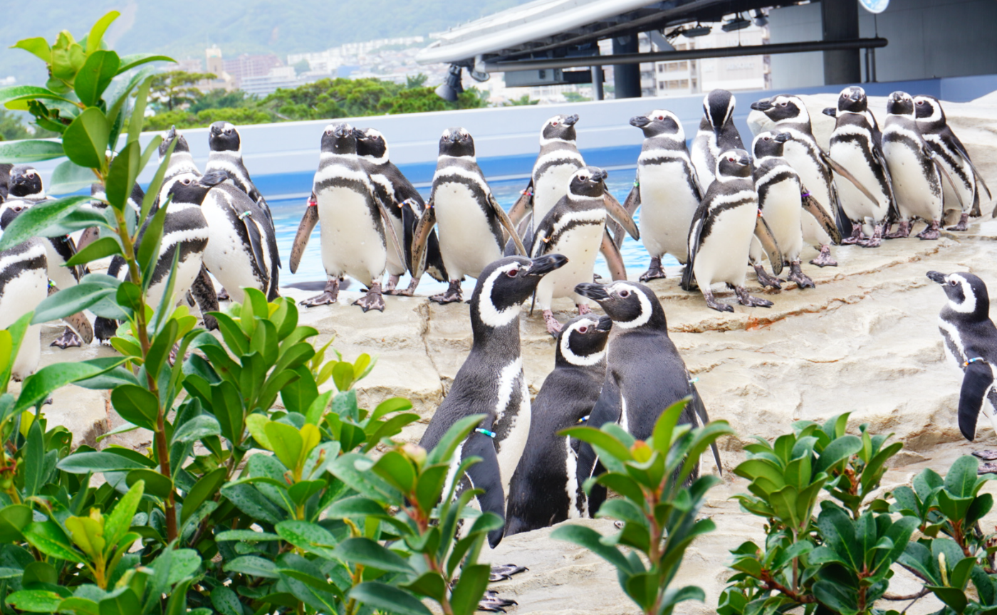 カメラを始めた原点に、ときどき帰ろう