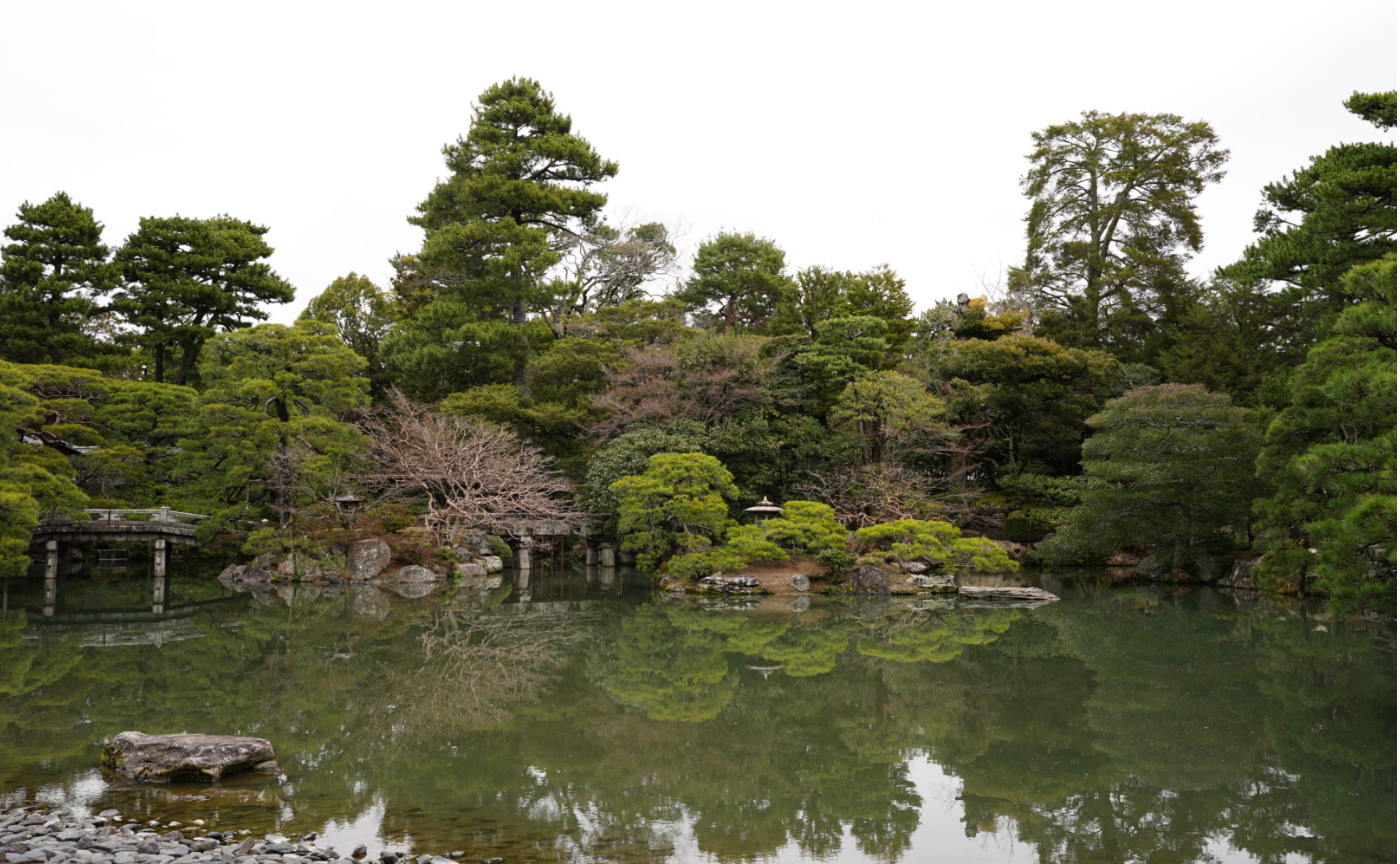 【イベントレポ】生物多様性とは、種類ではなく関係の多様性だった。環境活動家・坂田昌子さんのお話