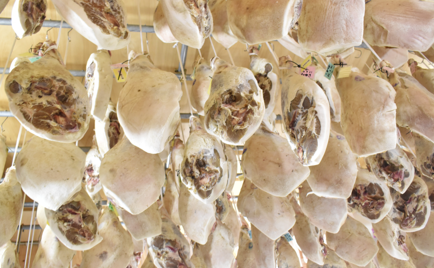 九州 | Food Trip to HOKURIKU & SHINSYU vol.2