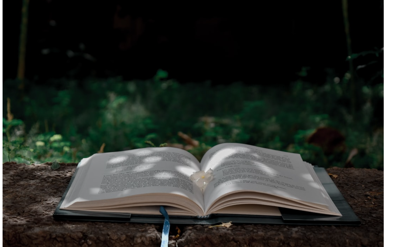 今月の読書会を終えて