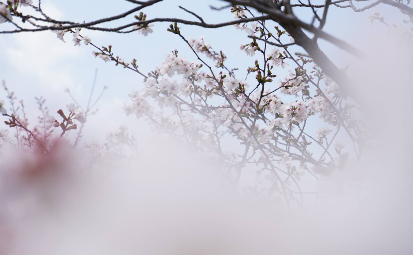 「また行きたい」を叶えた日。 ”ラグビーの聖地”で探す春の空気感