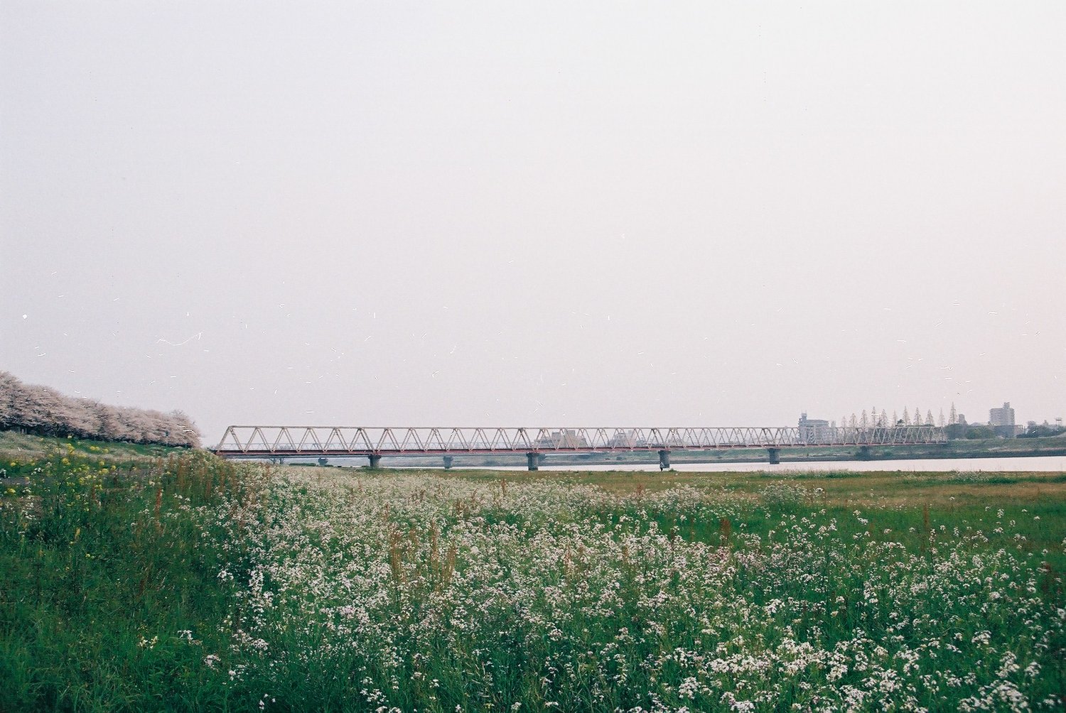 2020夏、湯浅。5日目