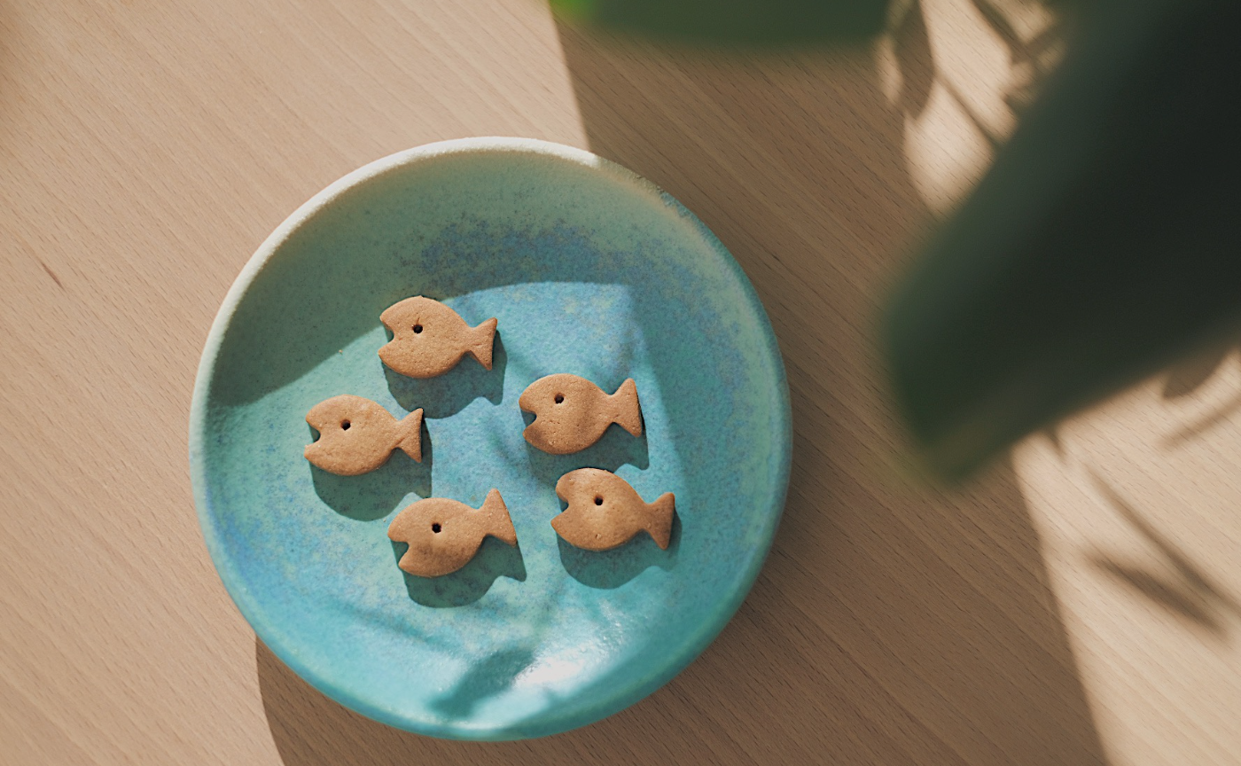 寝かしつけで寝落ちして思うこと。