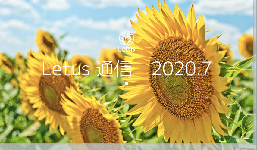 Letus活動日記 〜Letus通信7月号〜