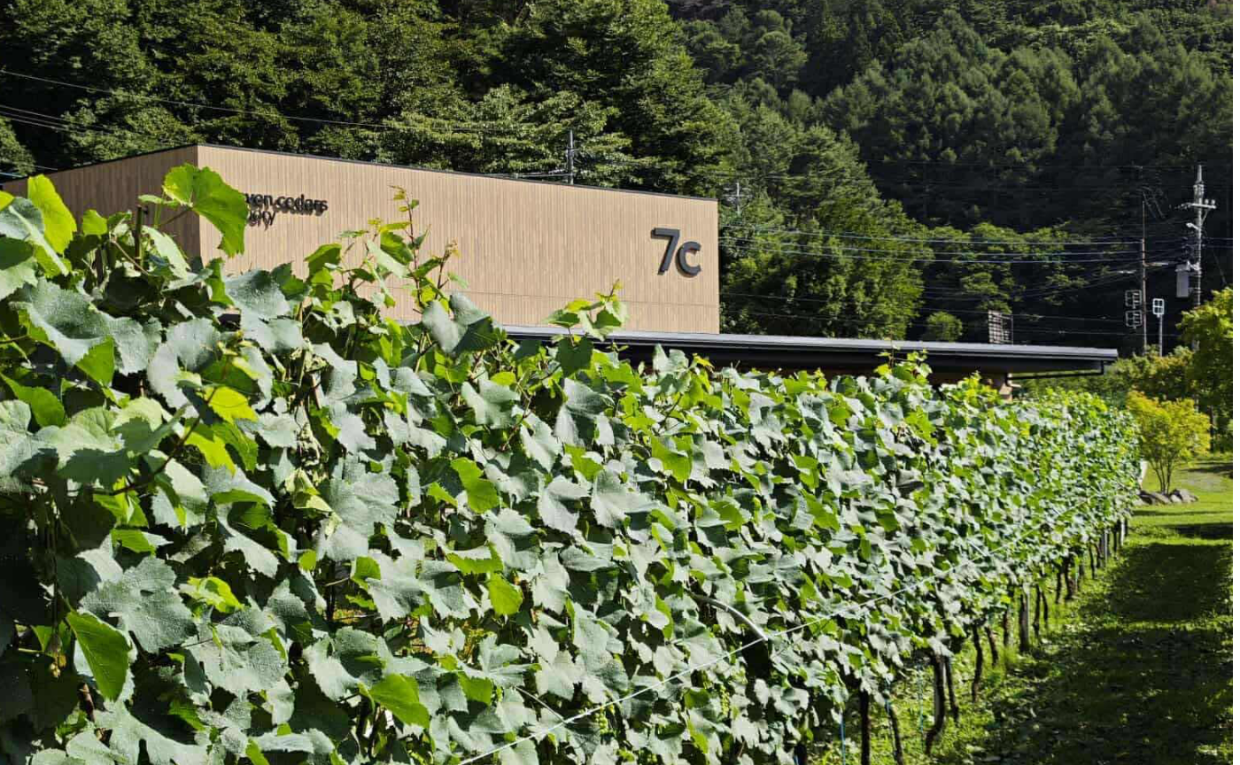 【新規会員】7c × ロコハン・ヴィンヤード・プログラム 2026