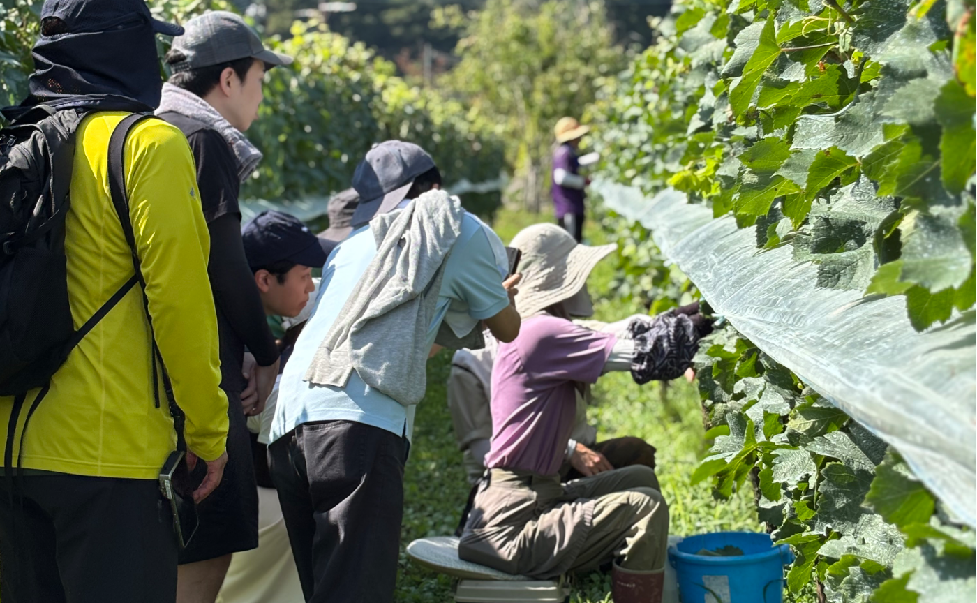 【新規会員】7c × ロコハン・ヴィンヤード・プログラム 2026