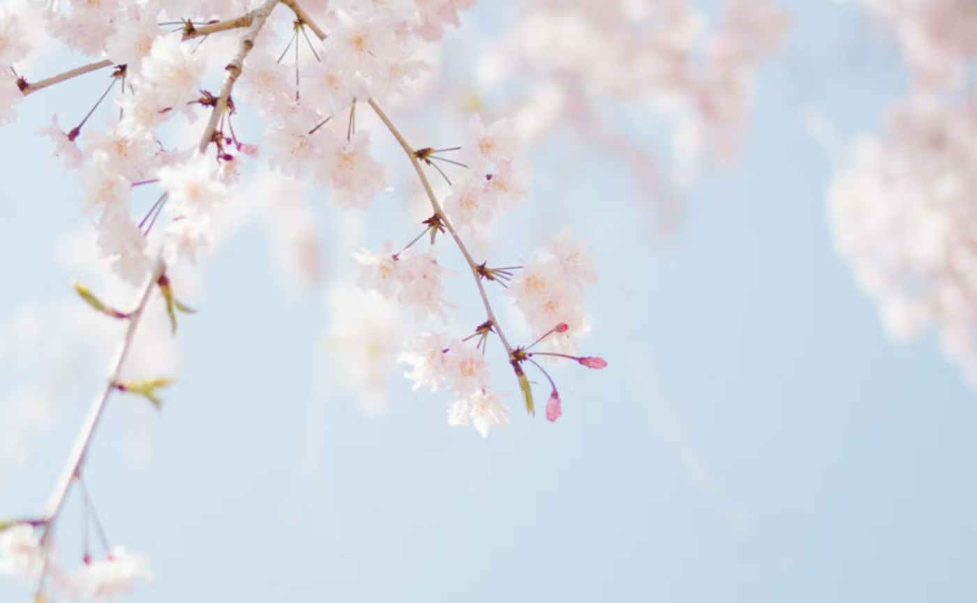 #287 場の空気はみんなでつくっていくもの