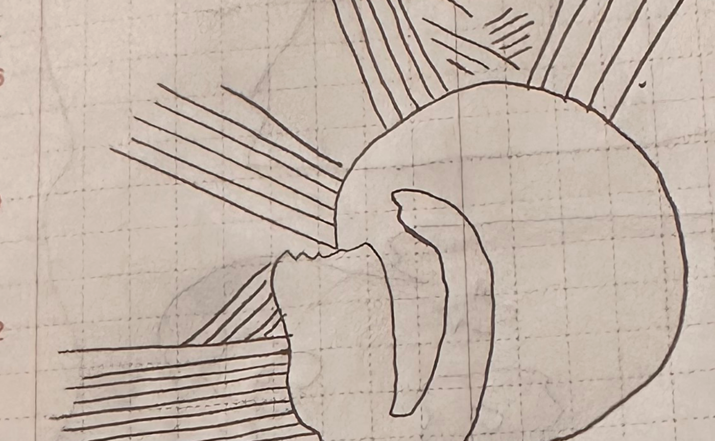 4/11 いちにちいちまい