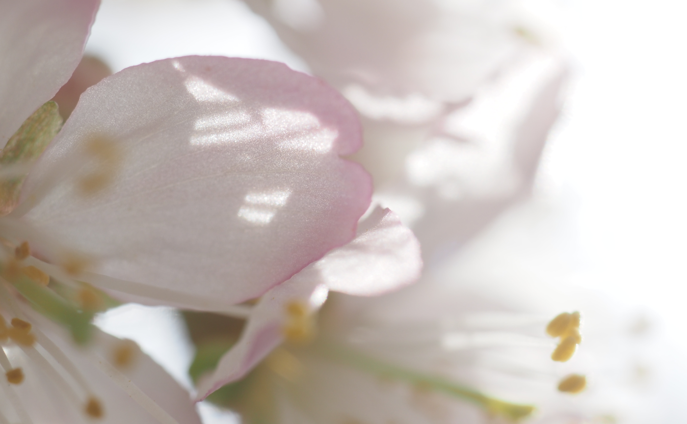 見えないものが見える！？