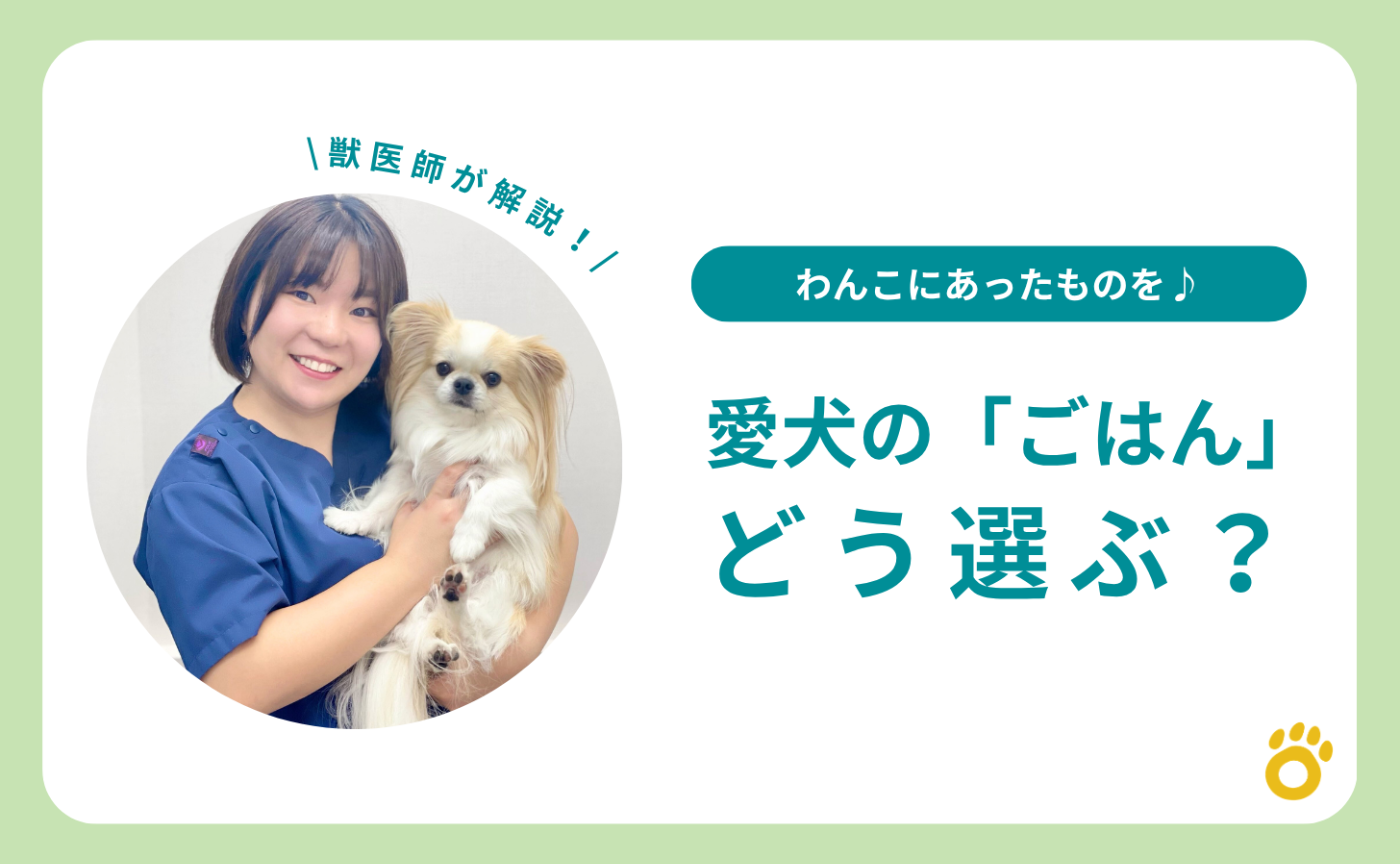 【獣医師解説】愛犬の「ごはん」どう選ぶ？