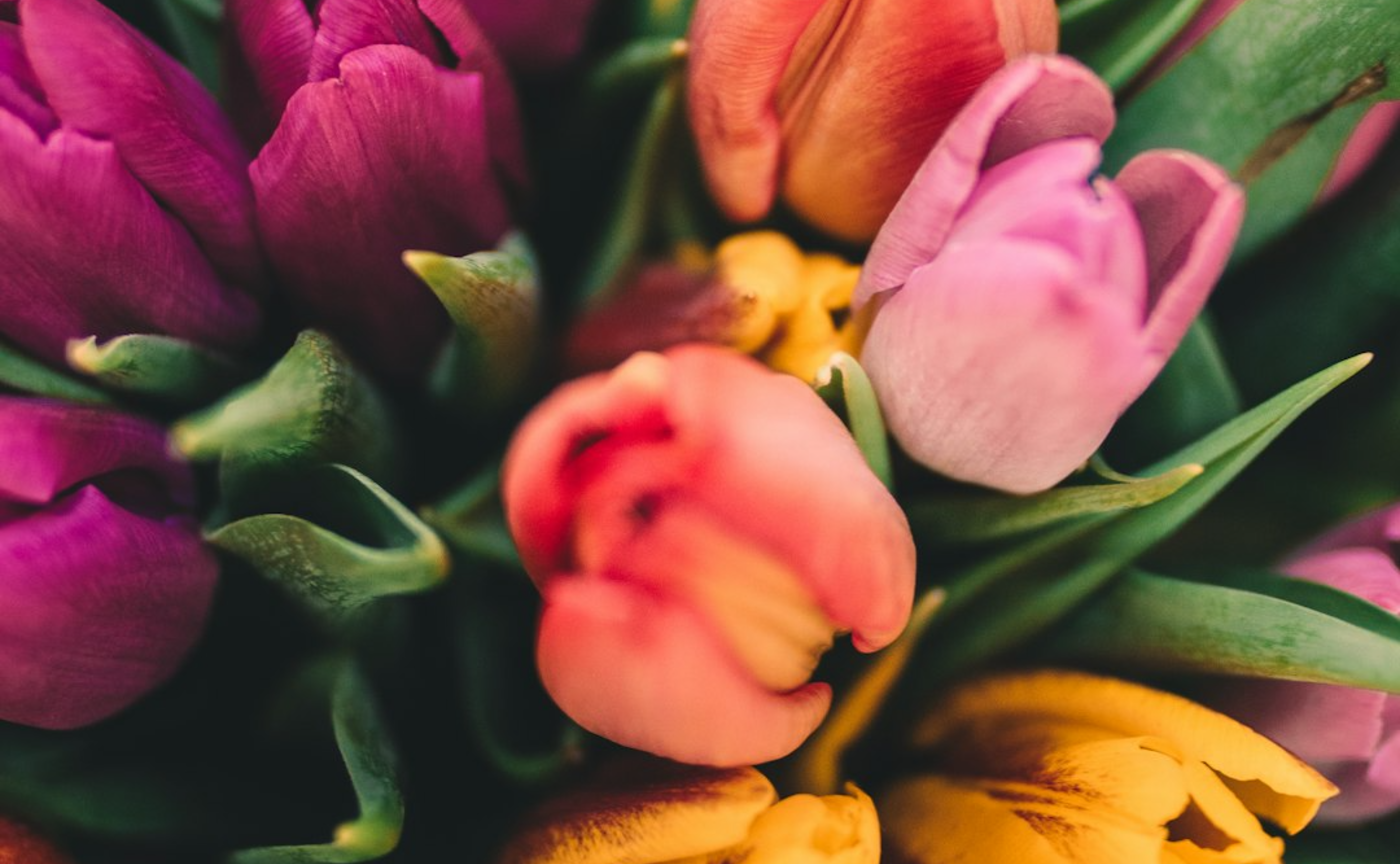 2026.04　ようこそGardenへ🌷