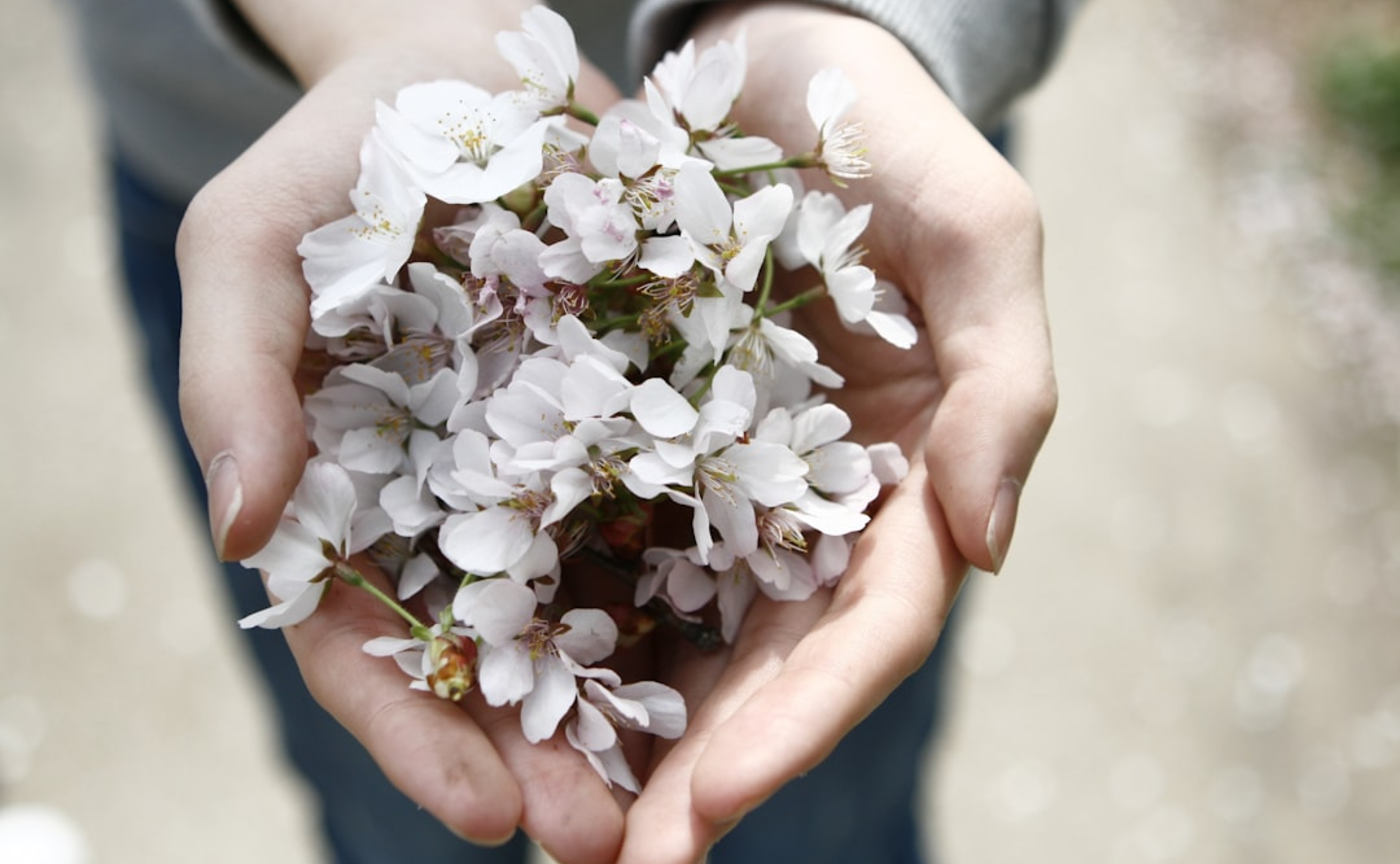 「私なんて」を、卒業する🌸「条件なしの自己肯定」21日間チャレンジ！