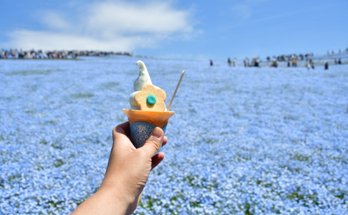 【開催レポ】青のハーモニーを堪能して来たよ🩵