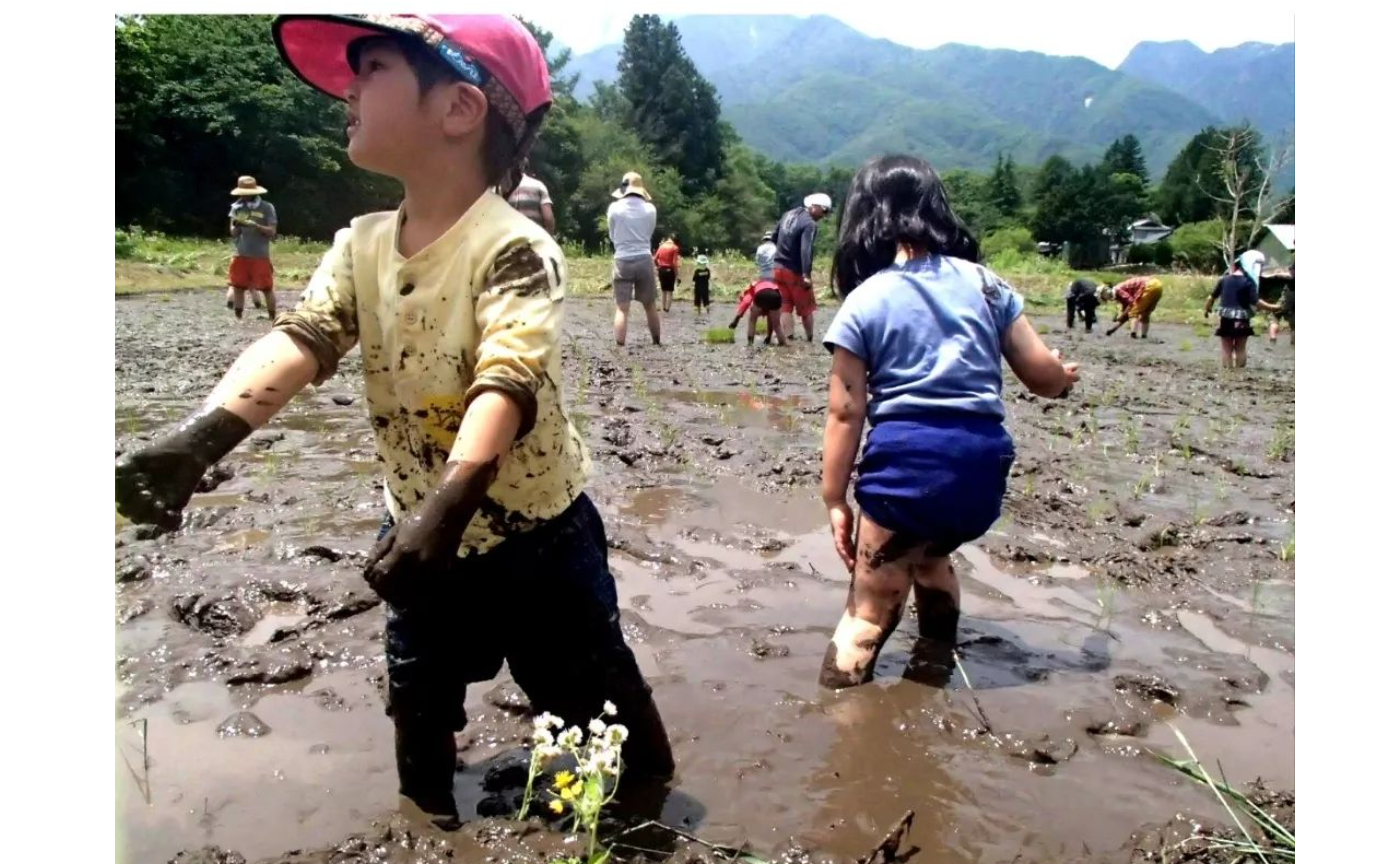 お田植えイベント
