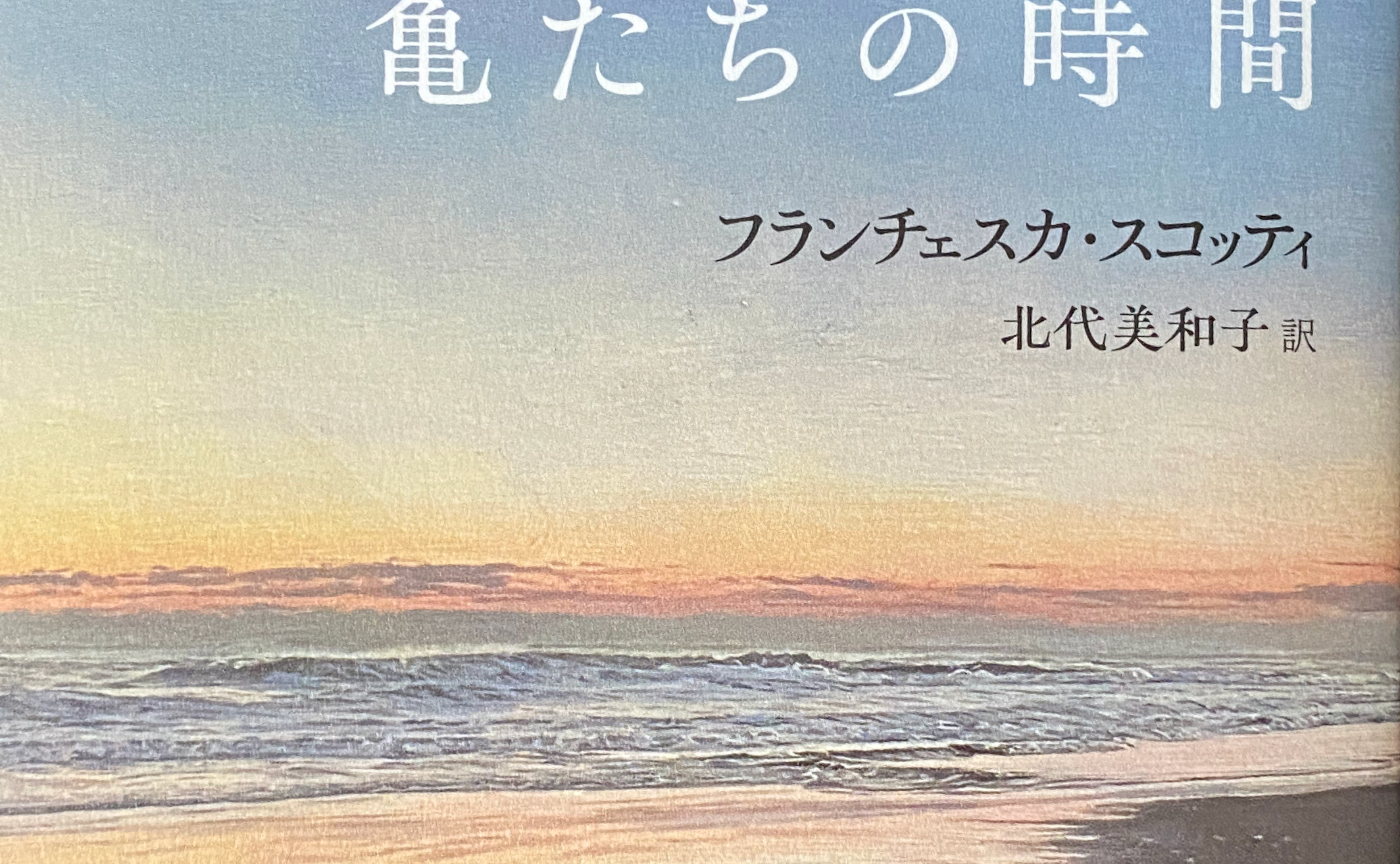 【文学茶話の予習復習】　『亀たちの時間』フランチェスカ・スコッティ　現代書館