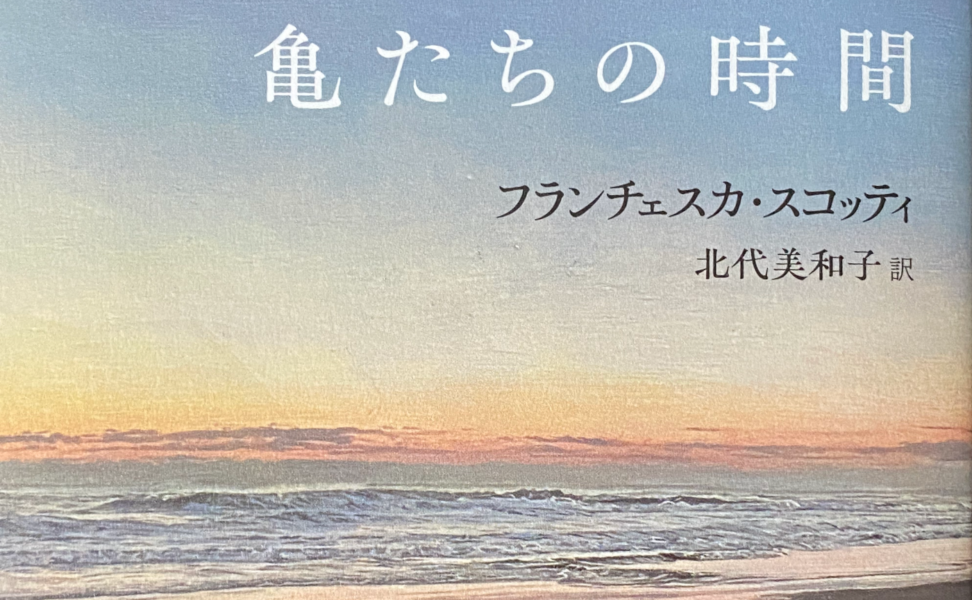 【文学茶話の予習復習】　『亀たちの時間』フランチェスカ・スコッティ　現代書館　８話・９話