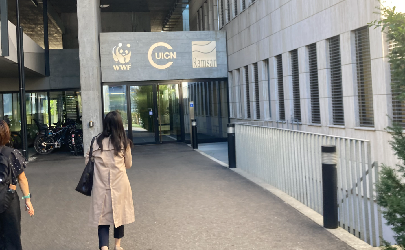 【Special Talk】国際機関で働きたい人へ  ― ＩＵＣＮ事務局での自然保護分野のキャリアのつくり方