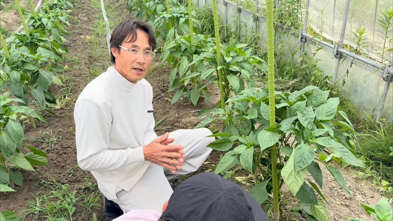 【第二回 農園探訪】 橋本自然農苑 〜後編〜