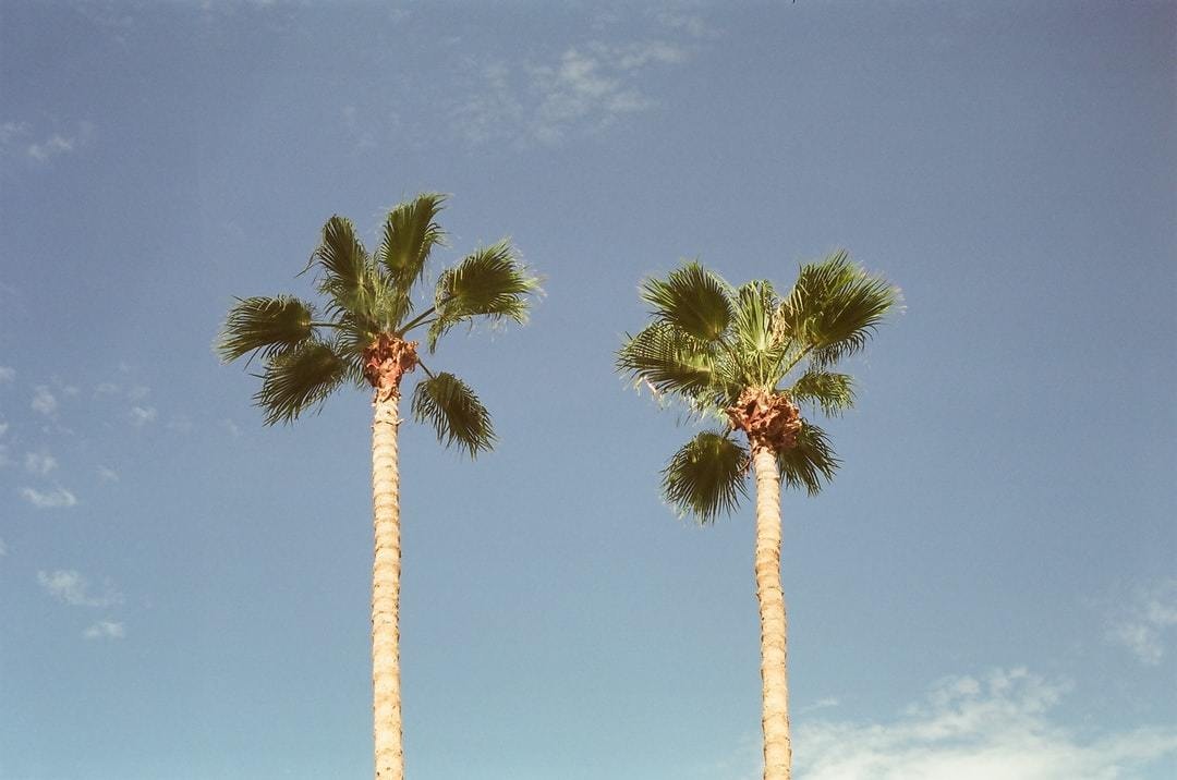 【場所変更】あそぶ｜2020年9月