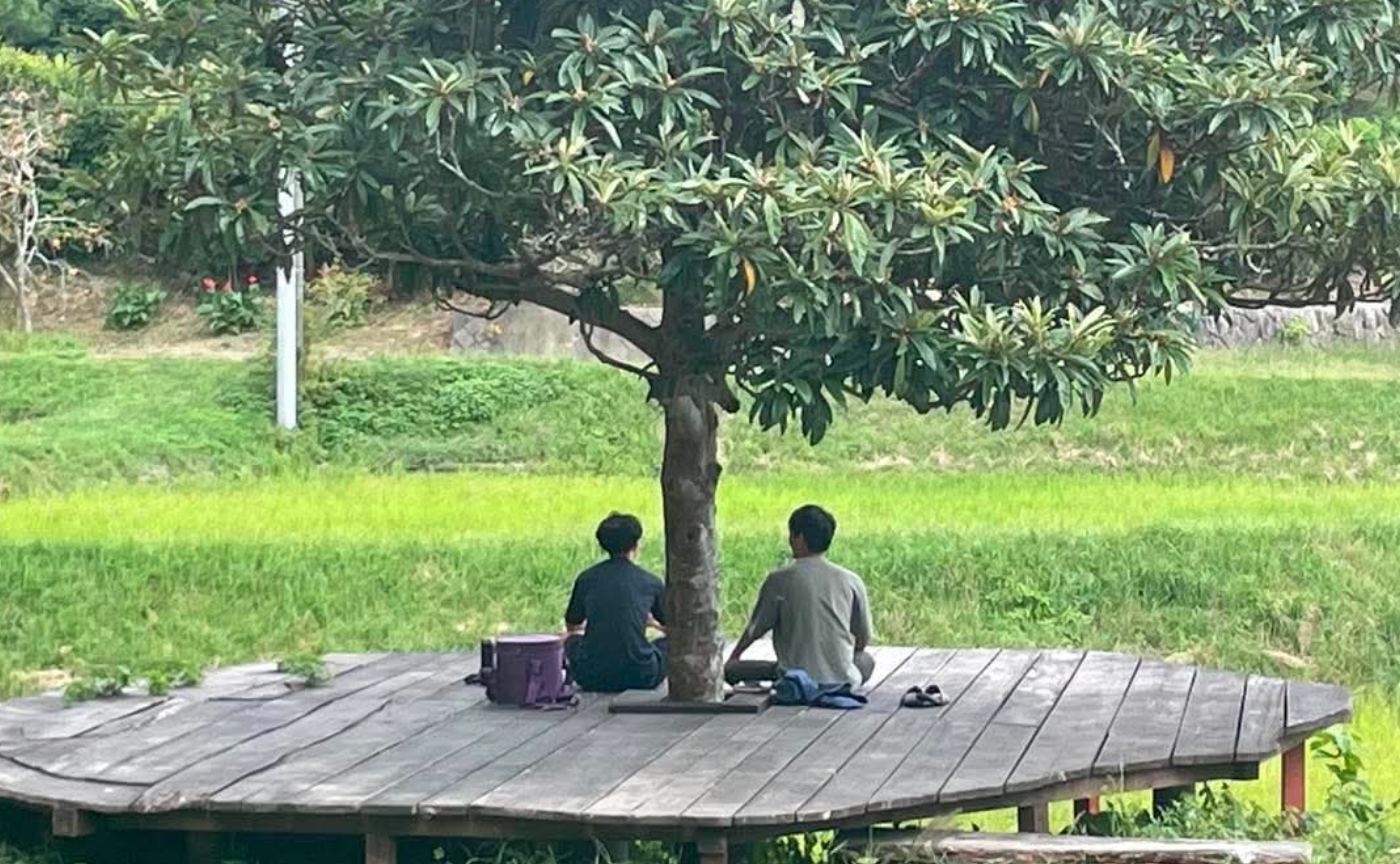 田んぼのテラスづくり  