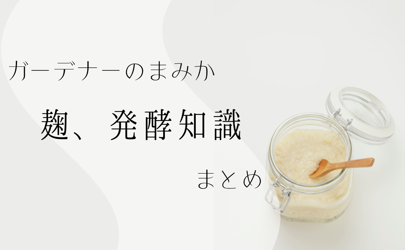 【麹】発酵まとめブログ