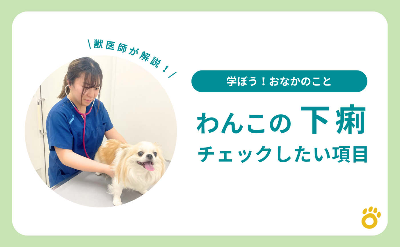 わんこの「下痢」チェックしたい項目は？