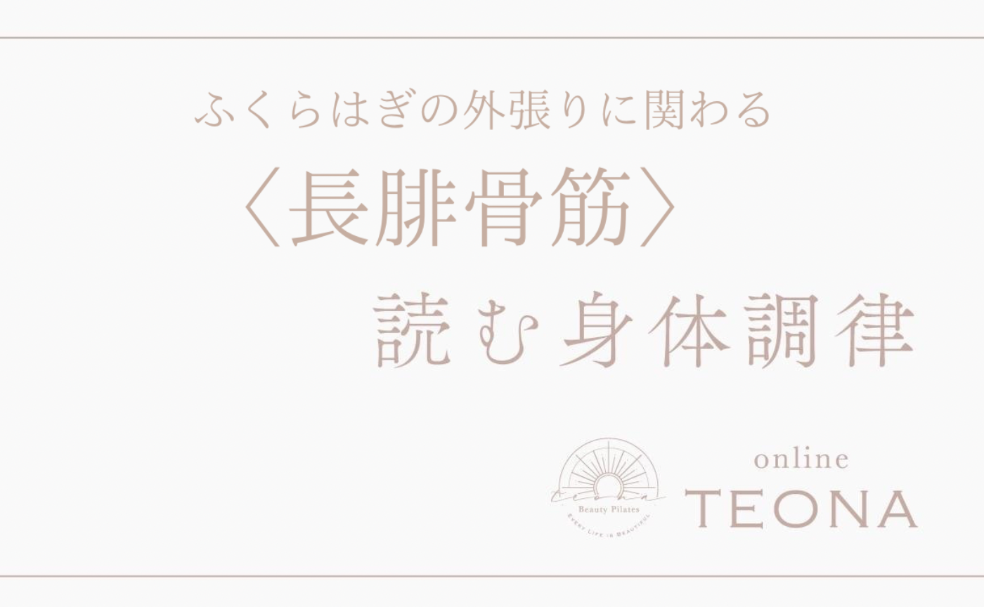 読む身体調律_長腓骨筋