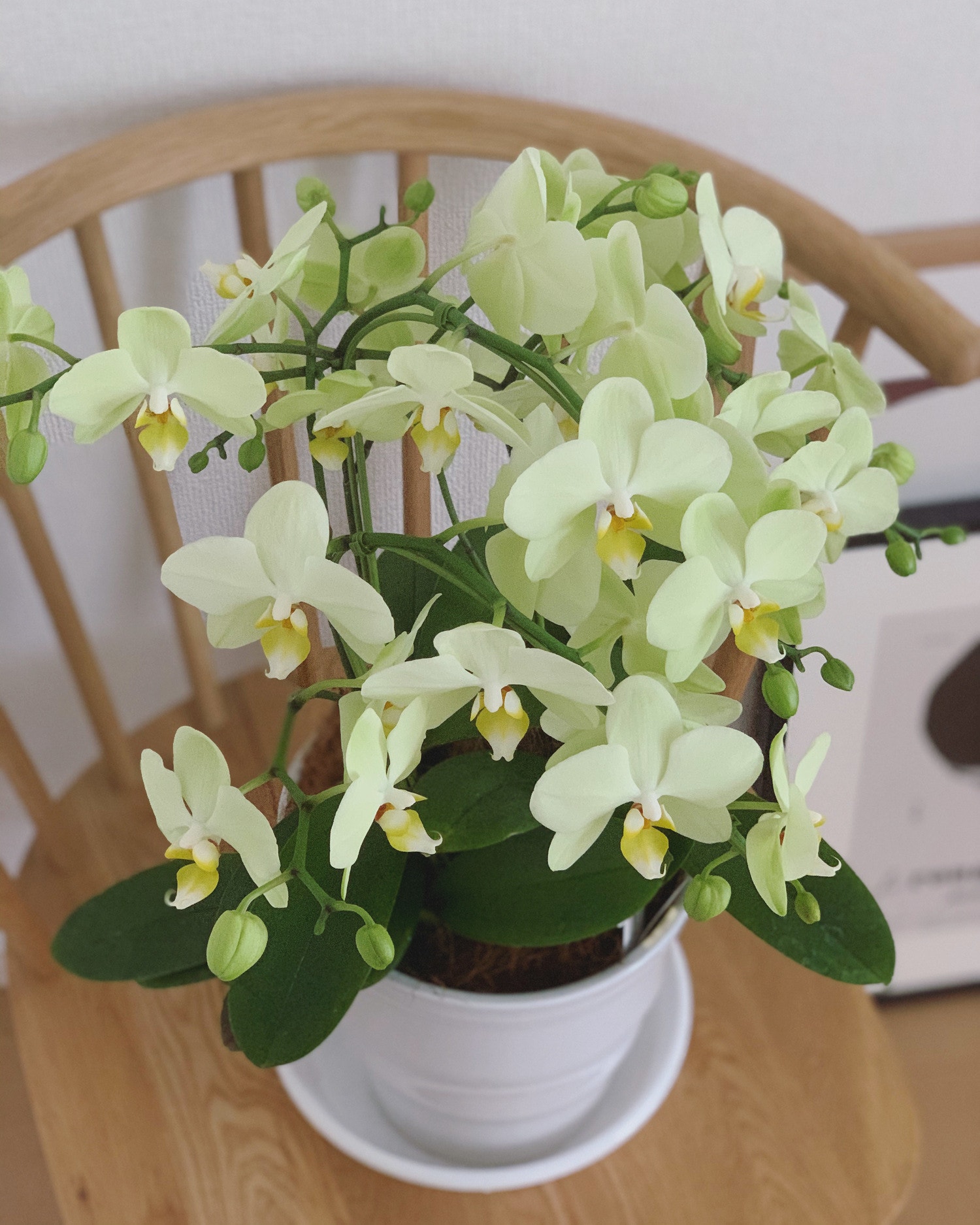 Happiness is here💞日本語と英語の狭間で。