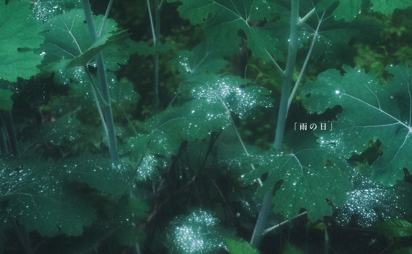 【結果発表】つぶやきフォトコン「雨の日」🌧️