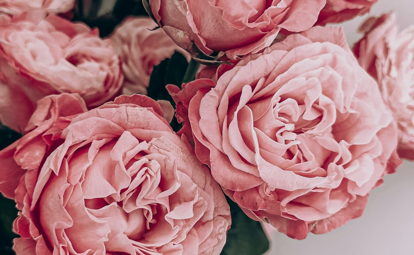 全人類が学んだほうが良いこと