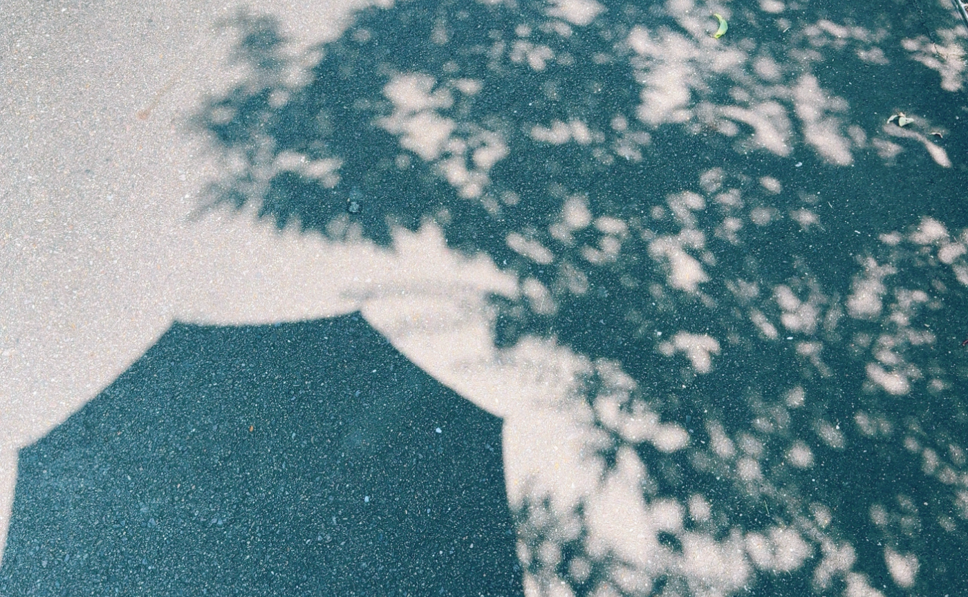 みんなの1秒写真まとめ!ウォーキングフォト部🚶