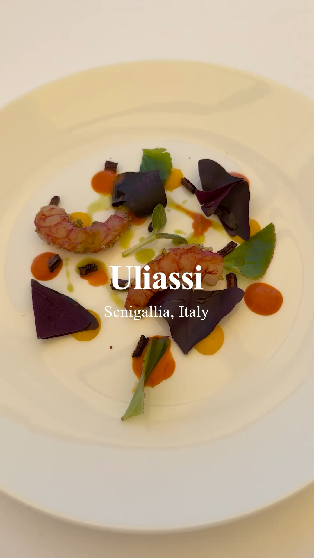 Uliassi | Senigallia, Italy