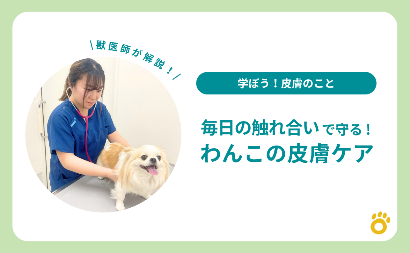 毎日のふれあいで守る！わんこの皮膚ケア