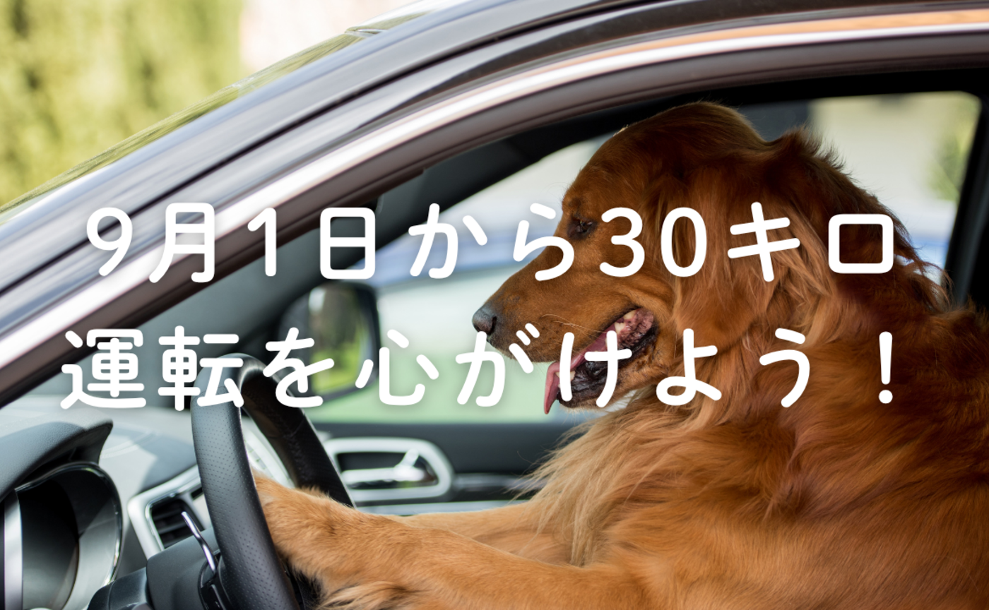 Vol.675　9月1日から30キロ運転を心がけよう！