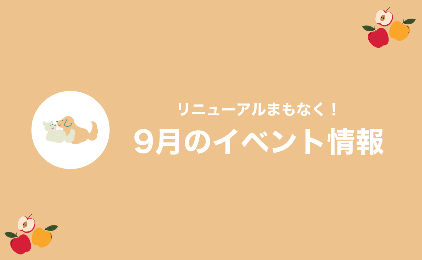 【9月のお知らせ】今月は防災とボディランゲージがテーマです🍎
