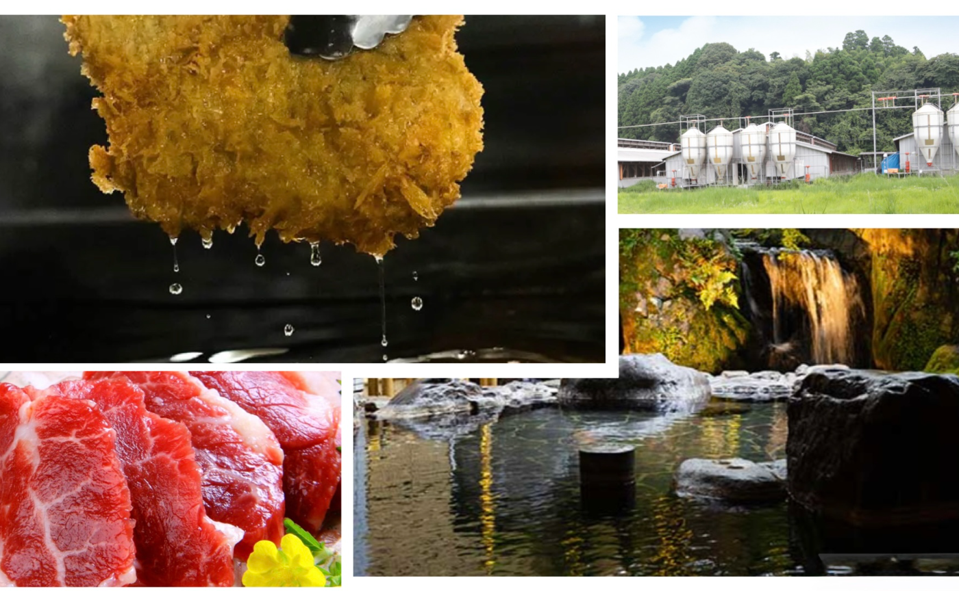 ロコハン旅 『熊本肉肉肉祭!!!』
