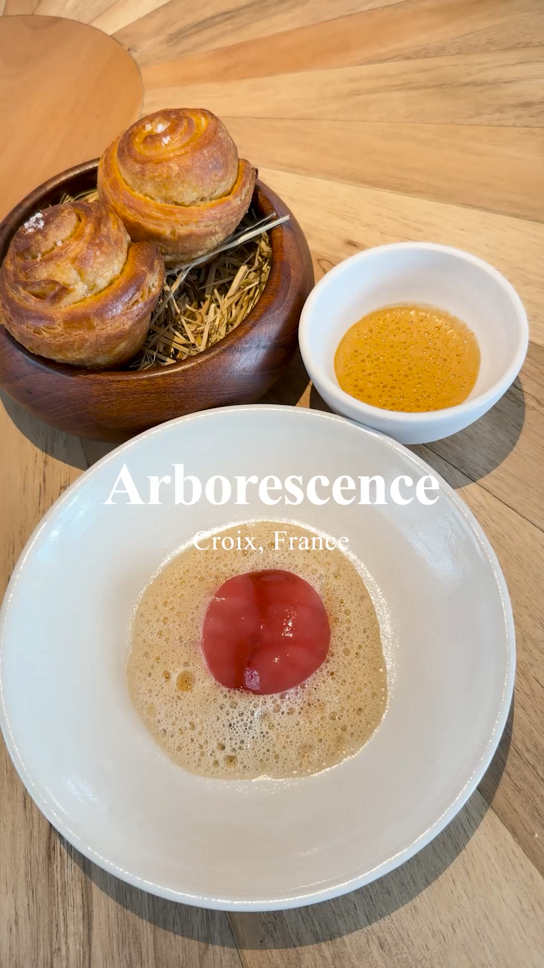 Arborescence | Croix, France