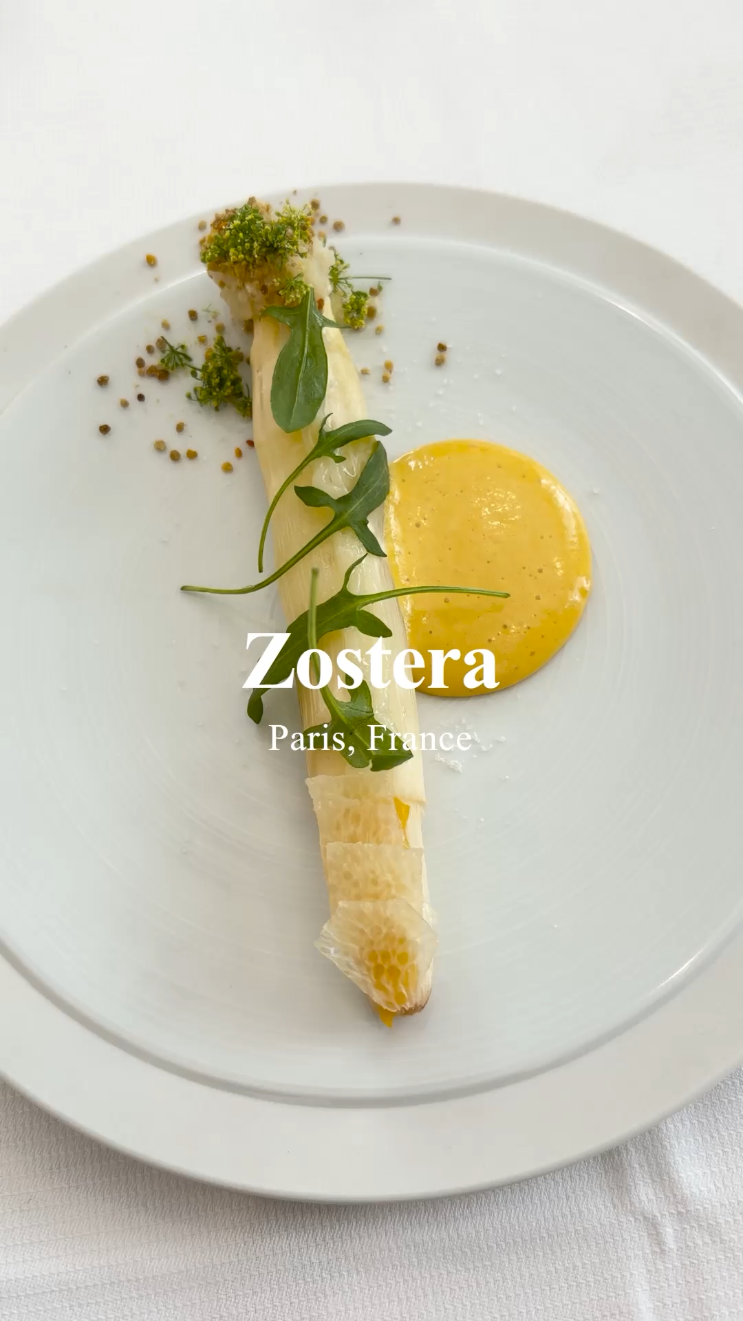 Zostera | Paris, France