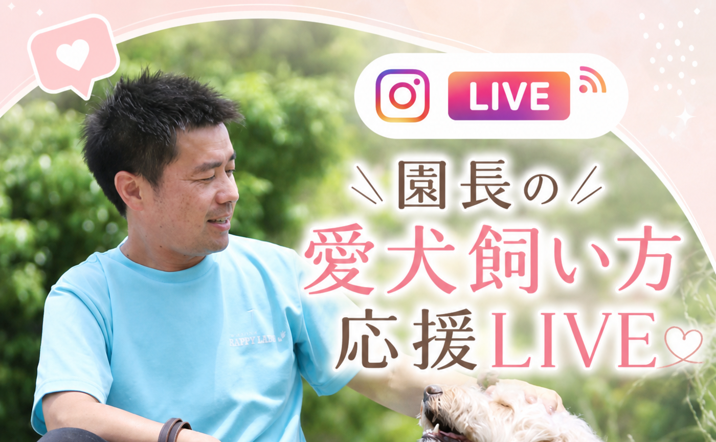 9/20(日)インスタライブアーカイブです♪