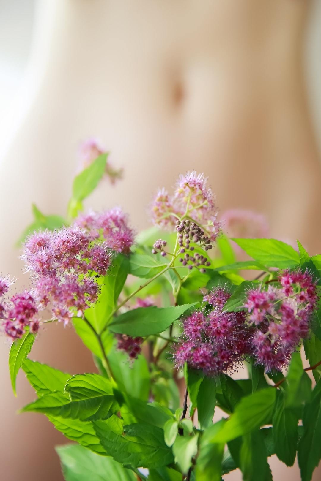 胃腸の不調 困ったちゃん