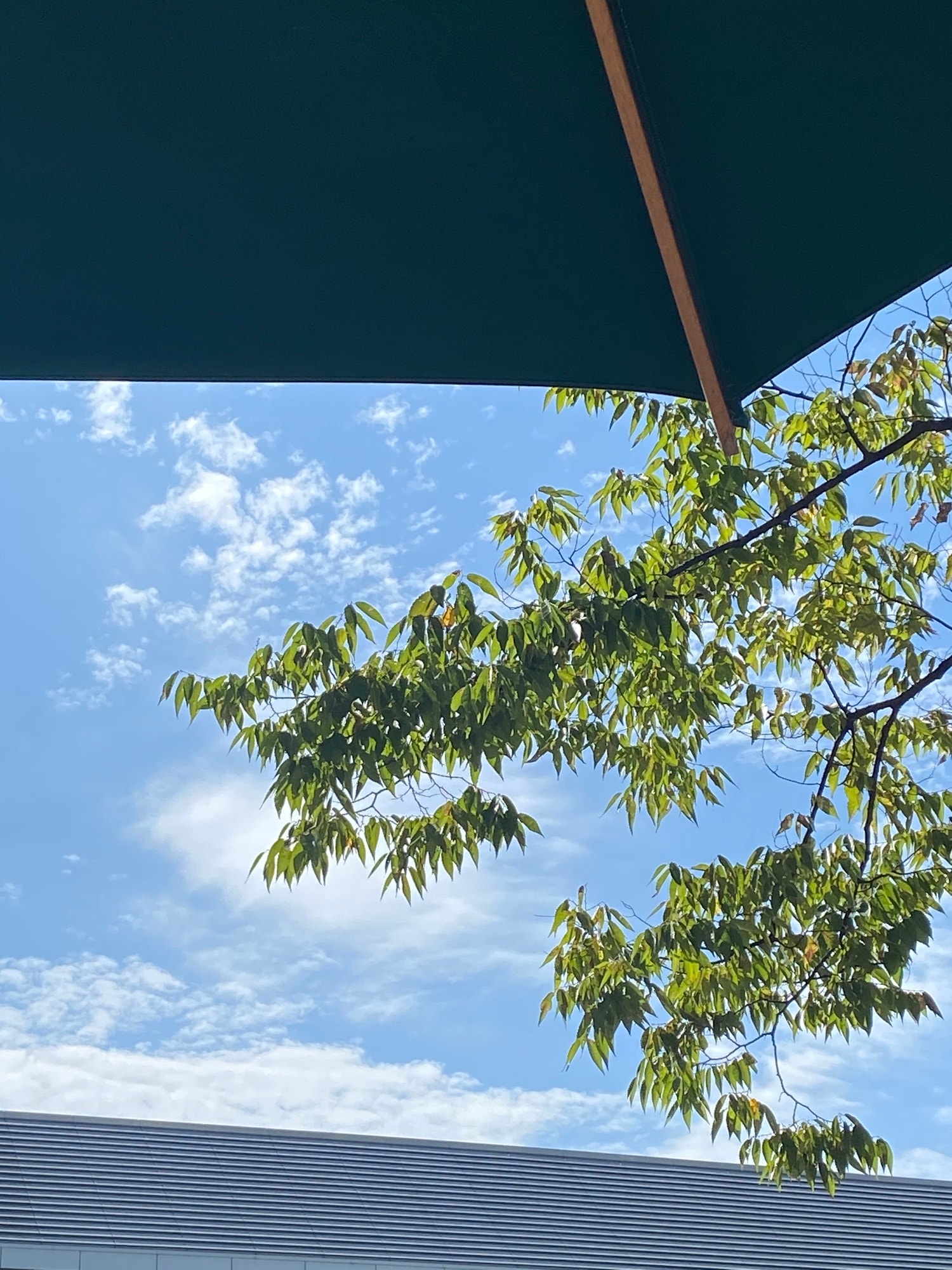 名古屋サウナと京都バー