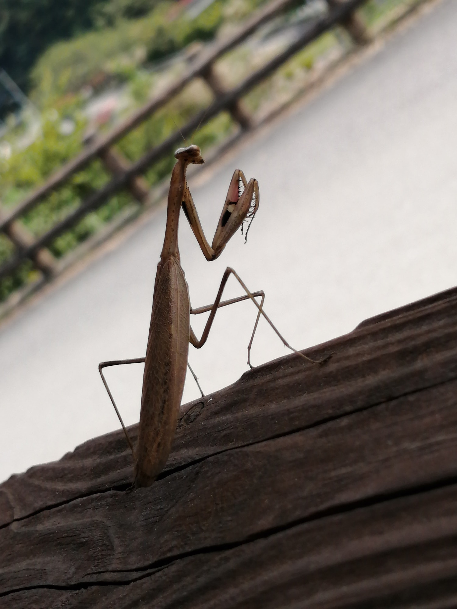 その時の自分にとって、都合のいい考えを都度取り入れたら良いのではないだろうか【10月の文学サークルの話も少し】