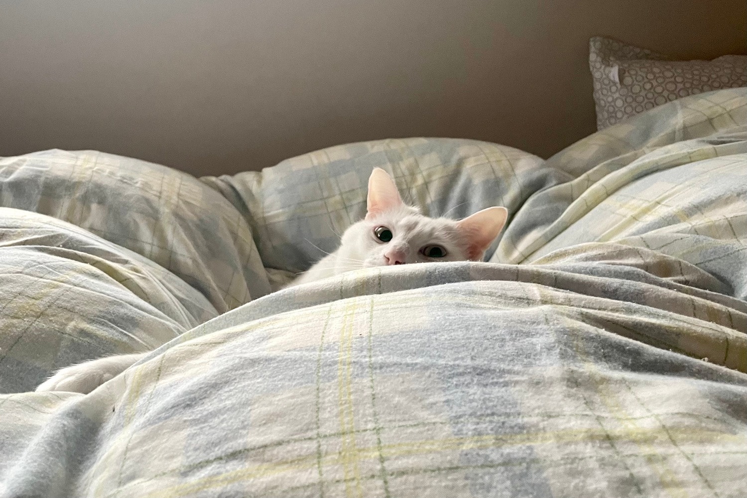 【日記】2021/2/15(月)【写真家の秘密】