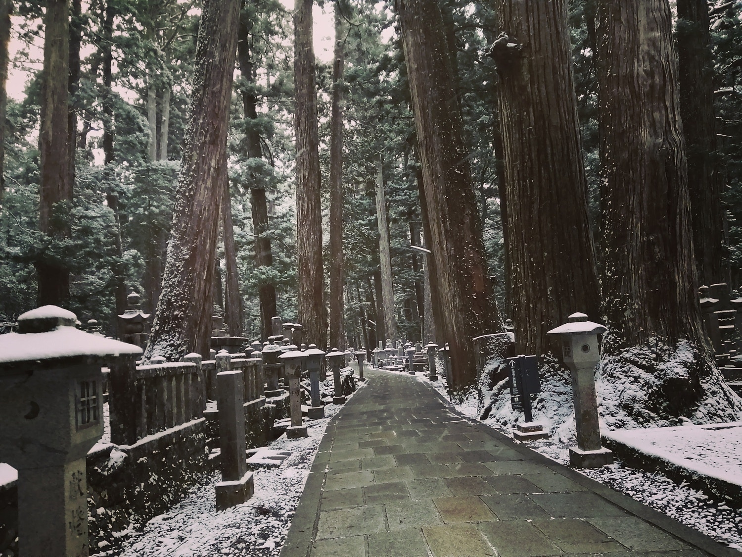売れること(何者かになること)こそがどうでも良かったんだ／ヨルシカ n-buna