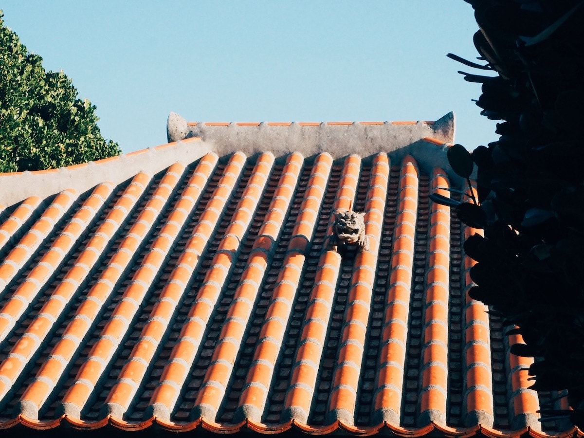 飛んだ、一年でした。食・地域・言葉の仕事に一歩近づけた2020を振り返る