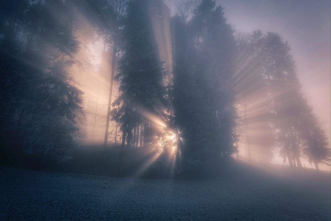 1月の目標"ゆる"宣言