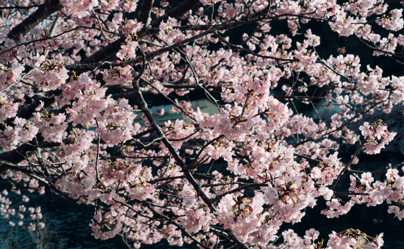 2021.2.19｜アシスタント活動レポート（森川）