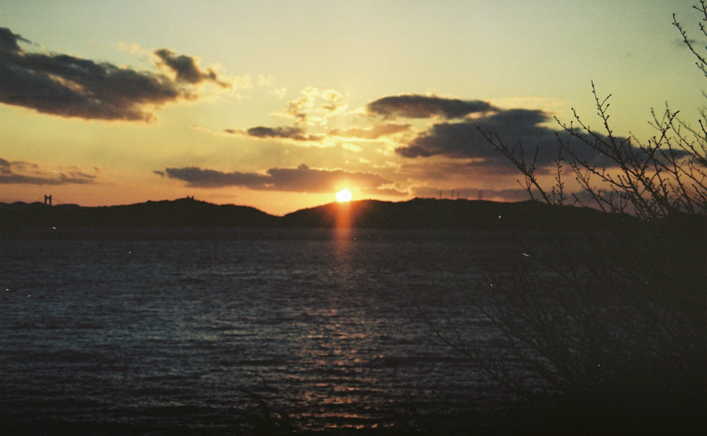 「やりたいこと」という幻想について